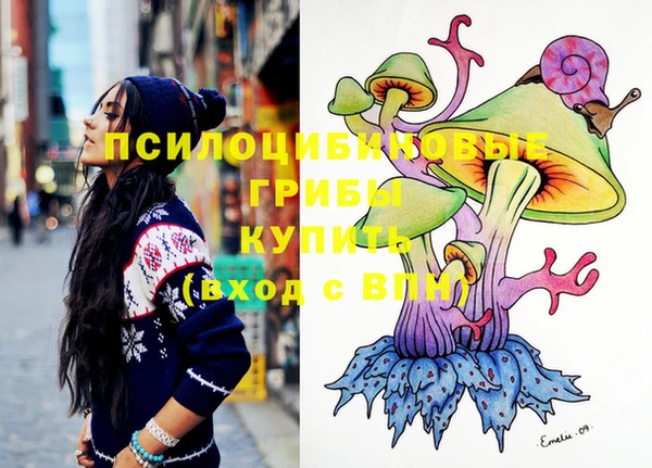 ешки Абинск