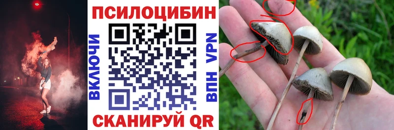 гидра ONION  Сычёвка  Псилоцибиновые грибы Psilocybe  купить наркотики сайты 